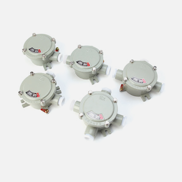 AH Explosion-proof junction box (IIBlIC)