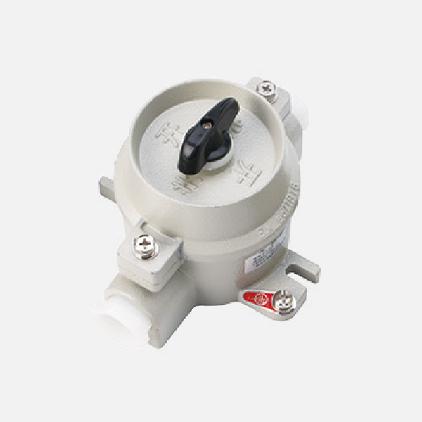 SW-10 Explosion-proof Lighting Switch (IIB, IIC)