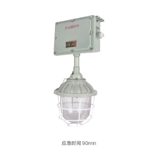 BdJ-200 explosion-proof emergency lighting dual-purpose lamp ( B)