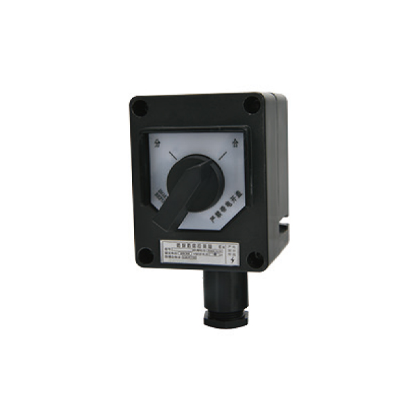 FZM series waterproof, dustproof and anti-corrosion lighting switch